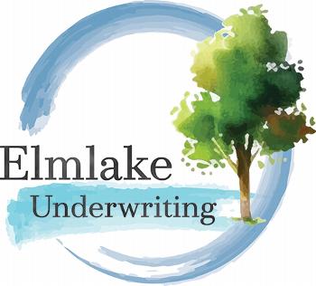 Elmlake Underwriting Professional Indemnity Underwriting Specialists Essex 